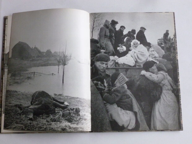 De Ramp - februari 1953 (boek + kaart)