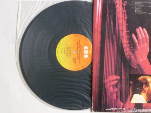 Andreas Vollenweider - Caverna Magica ...under the tree (LP) SBP237932
