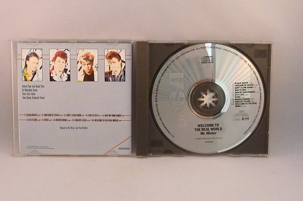 Mr. Mister - Welcome to the real world