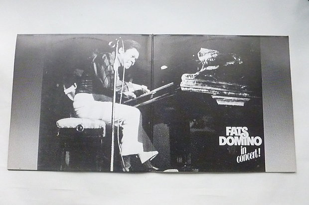 Fats Domino - In Concert (2 LP)