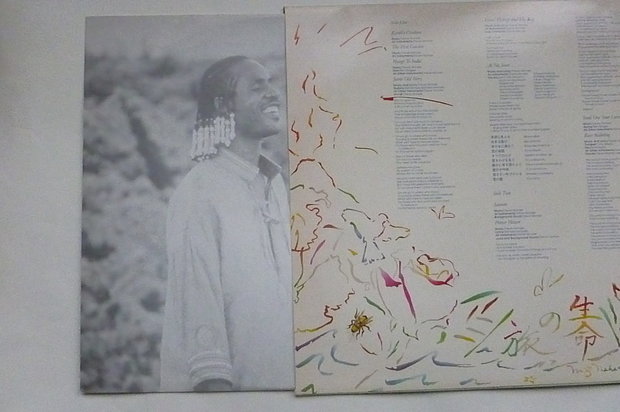 Stevie Wonder - Journey through the Secret Life of Plants (2 LP)
