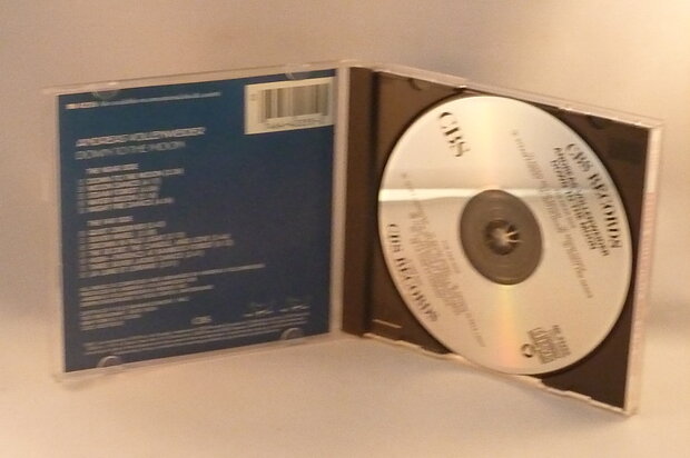 Andreas Vollenweider - Down to the Moon (USA)