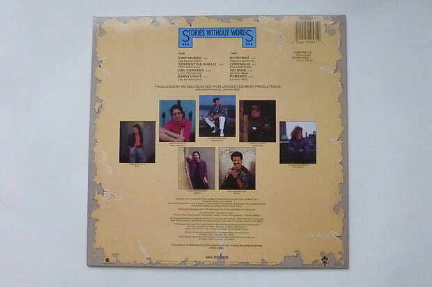 Spyro Gyra - Stories without words (LP)