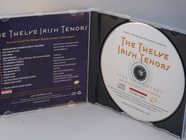 The Twelve Irish Tenors - Live in Concert