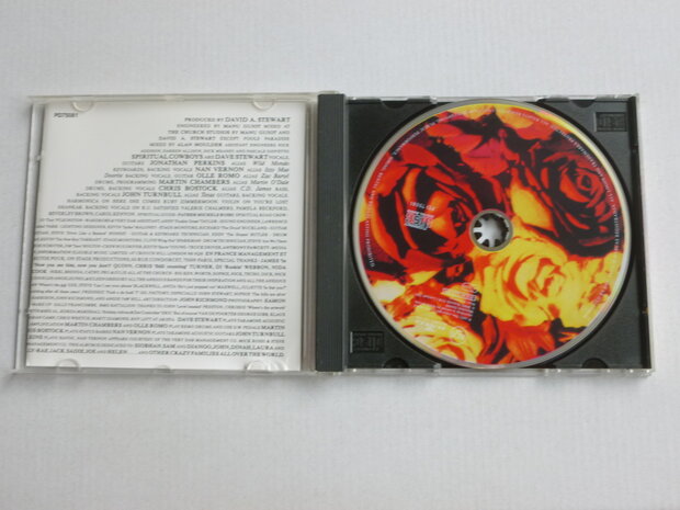 Dave Stewart - Spiritual cowboys