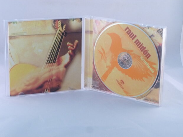 Raul Midon - Synthesis