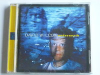 David Wilcox - Underneath