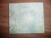 Disappearer - The Clearing