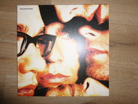 The Jeremy Days (LP)