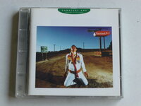 Carnival Art - Welcome to Vas LLegas