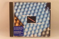 David Gray - White Ladder