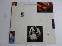 Robert Long - Hartstocht (LP)