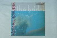 Mathilde Santing / Dennis Duchhart - Water under the Bridge (LP)