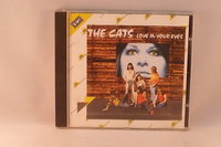 the Cats - Love in your eyes
