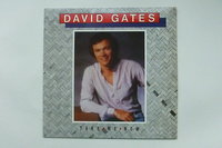 David Gates - Take me now (LP)ariola