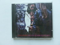 Lenny Kravitz - Are you gonna go my way